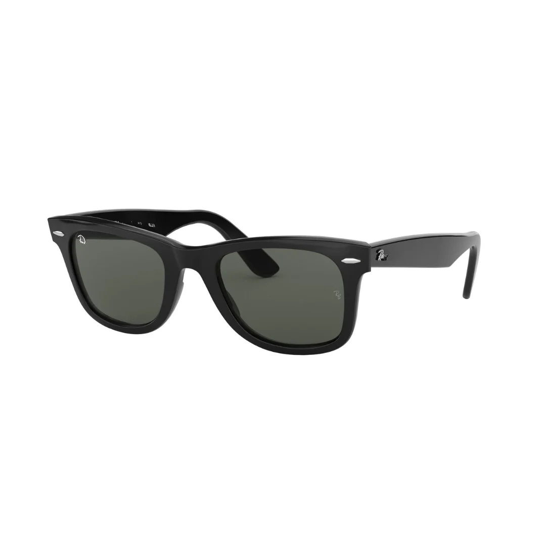 Wayfarer Sunglasses